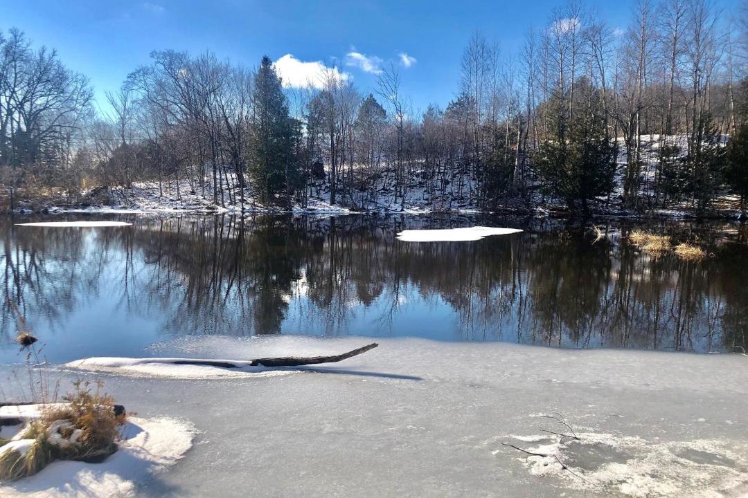 Photo of Others in Suttons Bay