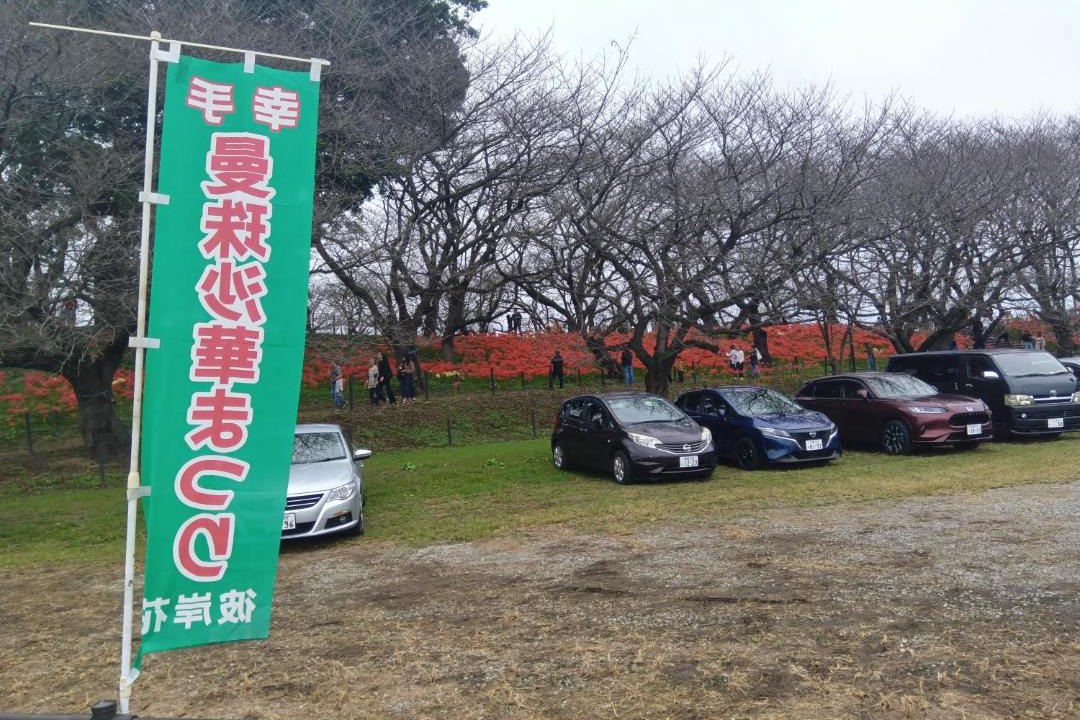 Photo of Outdoor in Satte