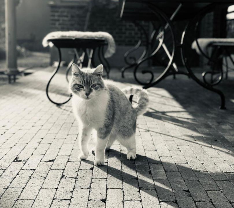 Photo of Others in Stokrooie