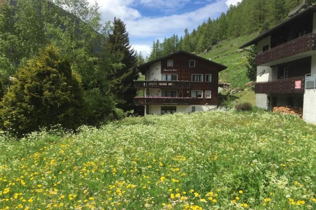 Photo of Others in Saas Grund
