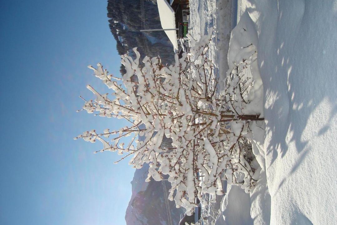 Photo of Others in Lenk