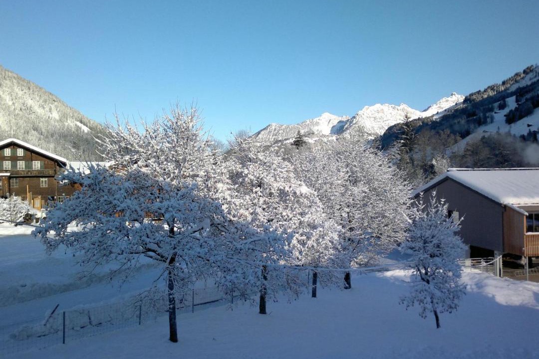 Photo of Others in Lenk