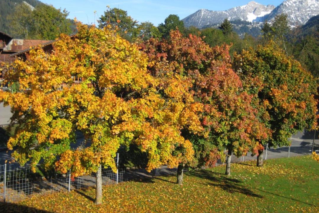 Photo of Others in Lenk