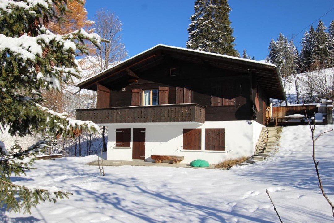 Photo of Others in Lenk