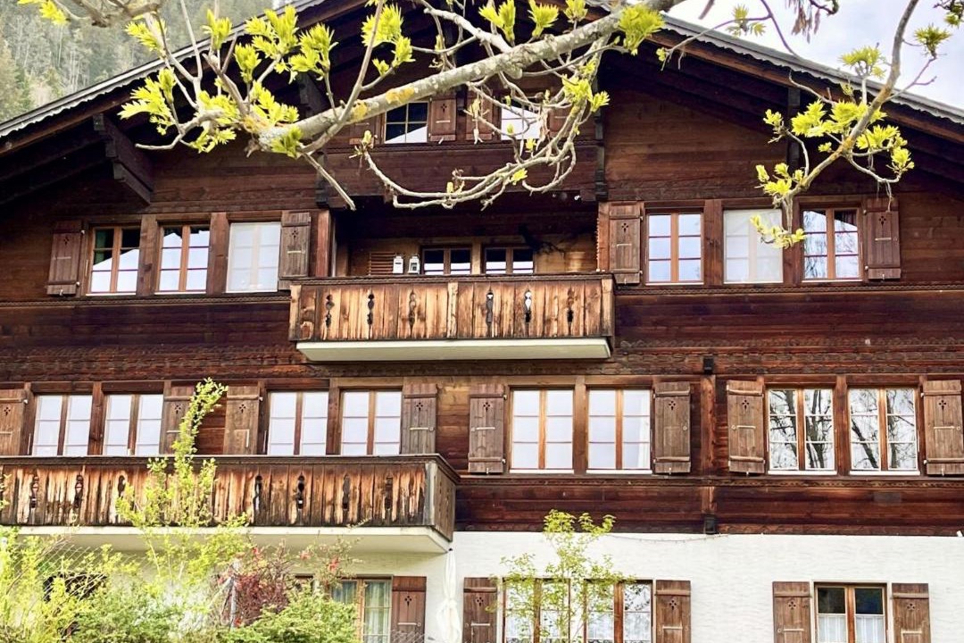 Photo of Others in Zweisimmen