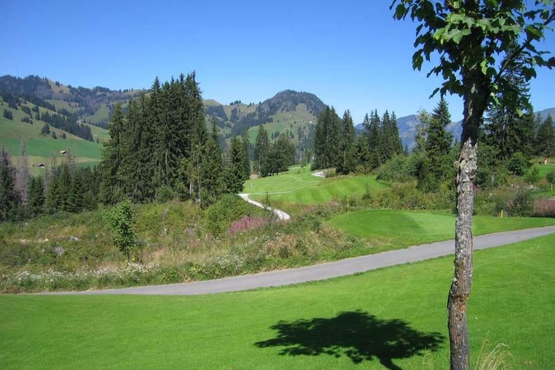 Photo of Others in Lenk