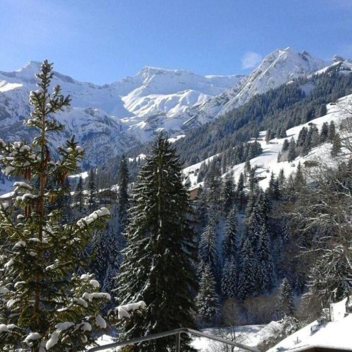 Photo of Others in Adelboden