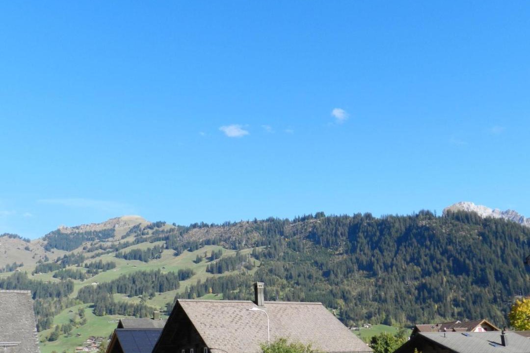 Photo of Others in Zweisimmen
