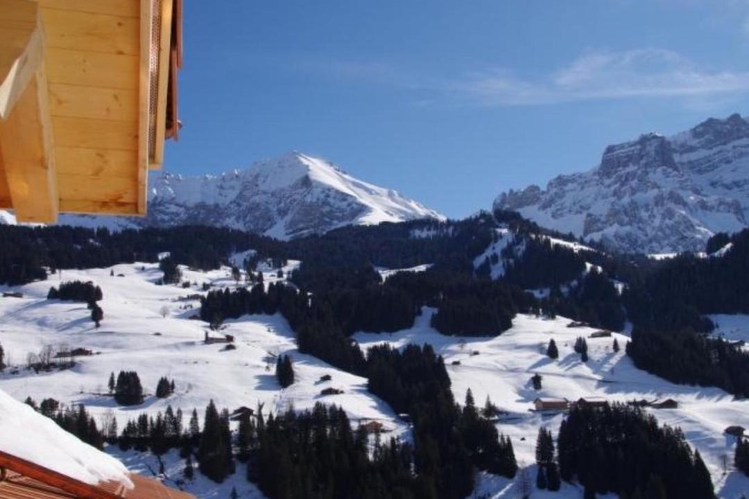 Photo of Others in Adelboden