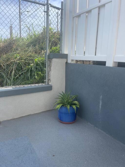 Photo of Patio Balcony in Mandeville