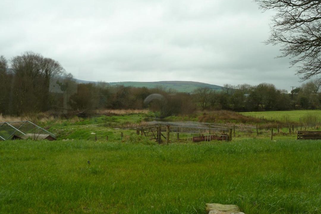 Photo of Others in Crosswell
