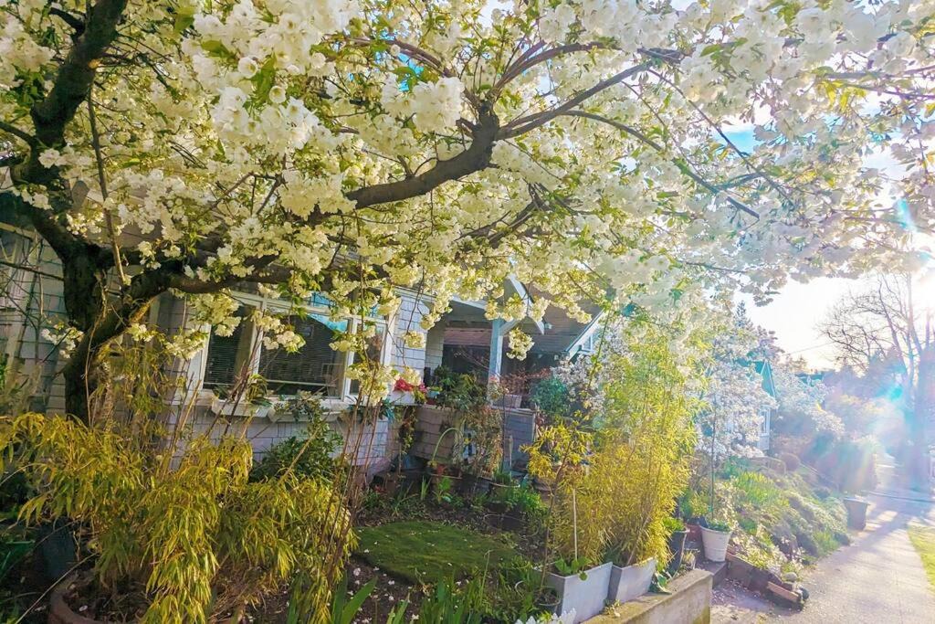 Photo of Others in Queen Anne