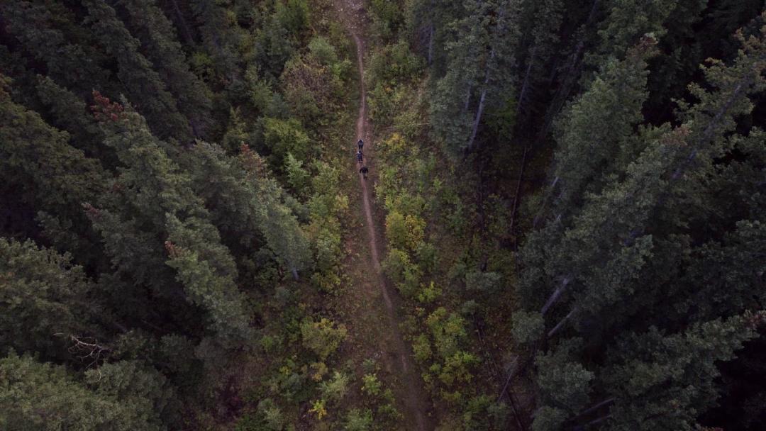 Photo of Human In Picture in Jasper East