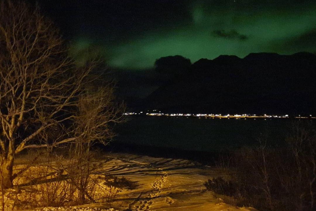 Photo of Others in Lyngen