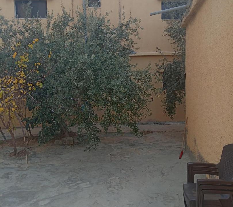 Photo of Others in Al Jubeiha