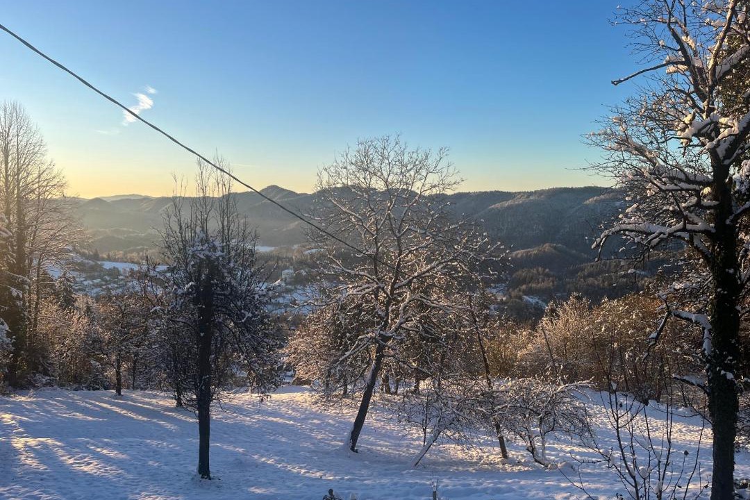 Photo of Others in Kamnik