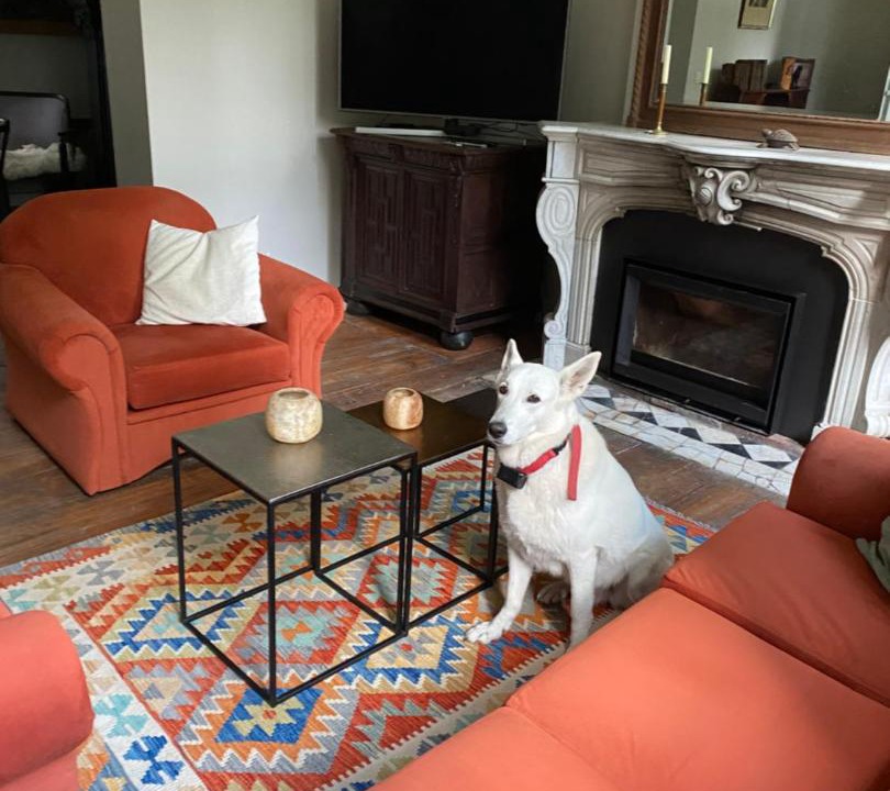 Photo of Livingroom in Montigny-le-Tilleul
