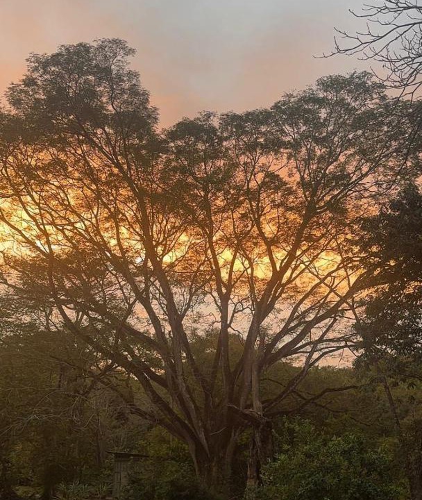 Photo of Others in Cabuya