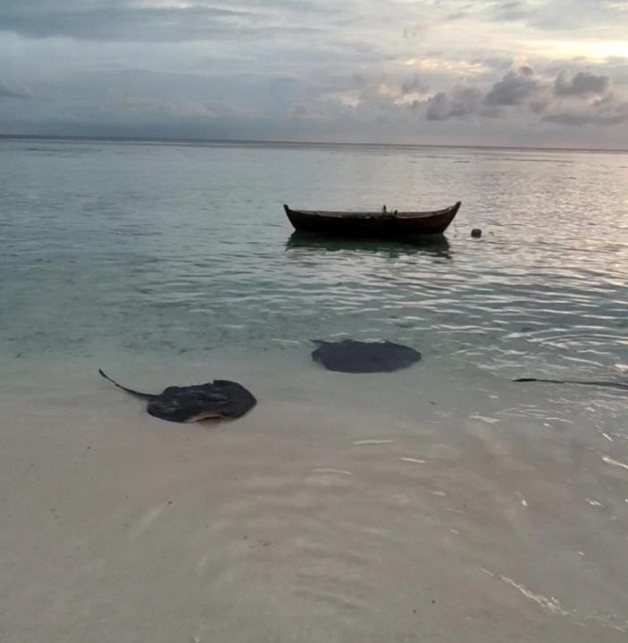 Photo of Others in Omadhoo