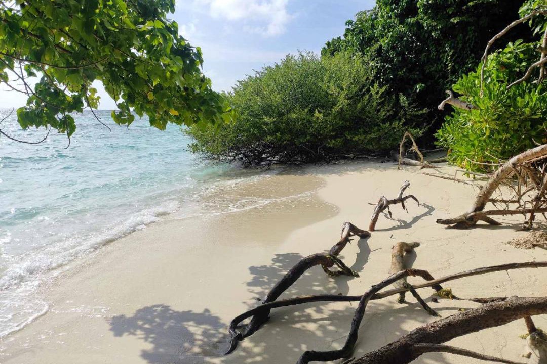 Photo of Others in Omadhoo