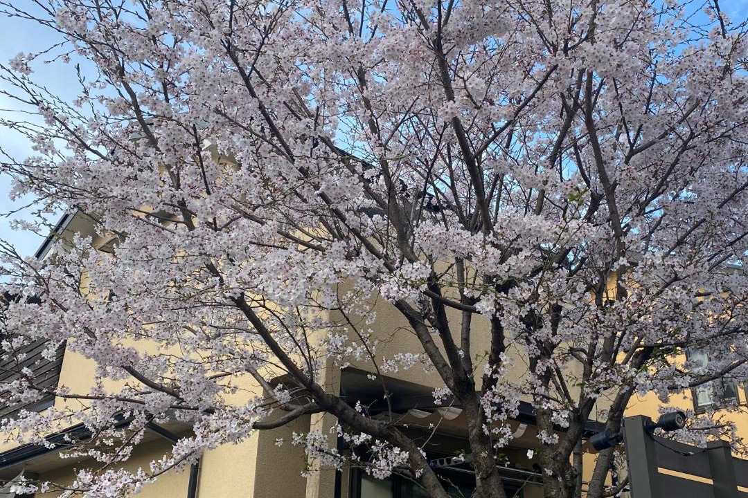Photo of Outdoor in Sakyo Ward