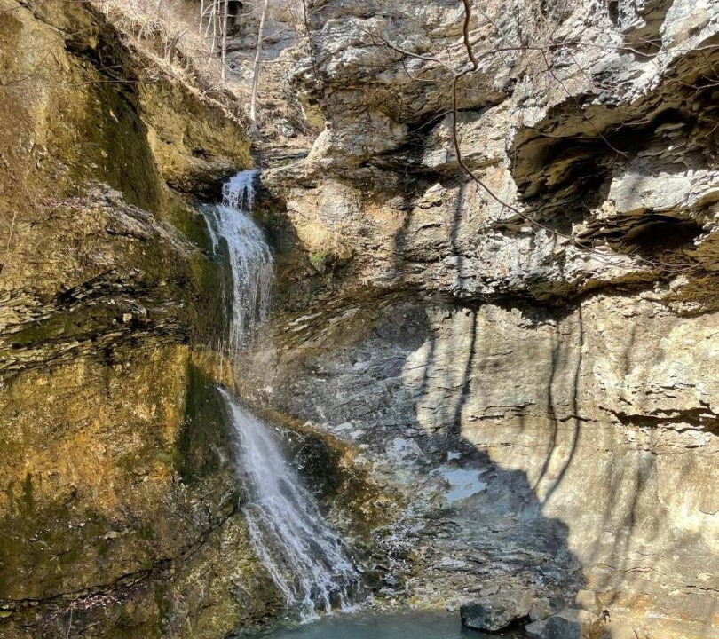 Photo of Others in Jasper