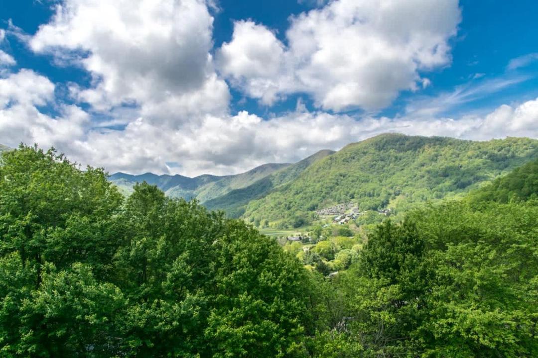 Photo of Others in Maggie Valley