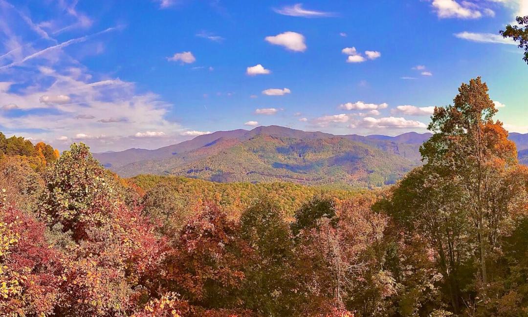 Photo of Others in Bryson City
