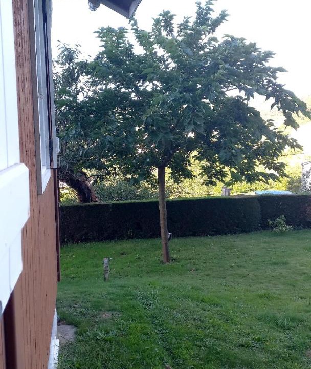 Photo of Others in Esteiro