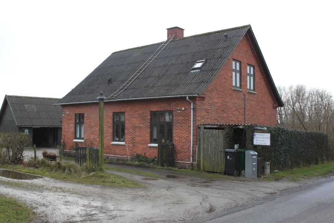 Photo of Others in Borup