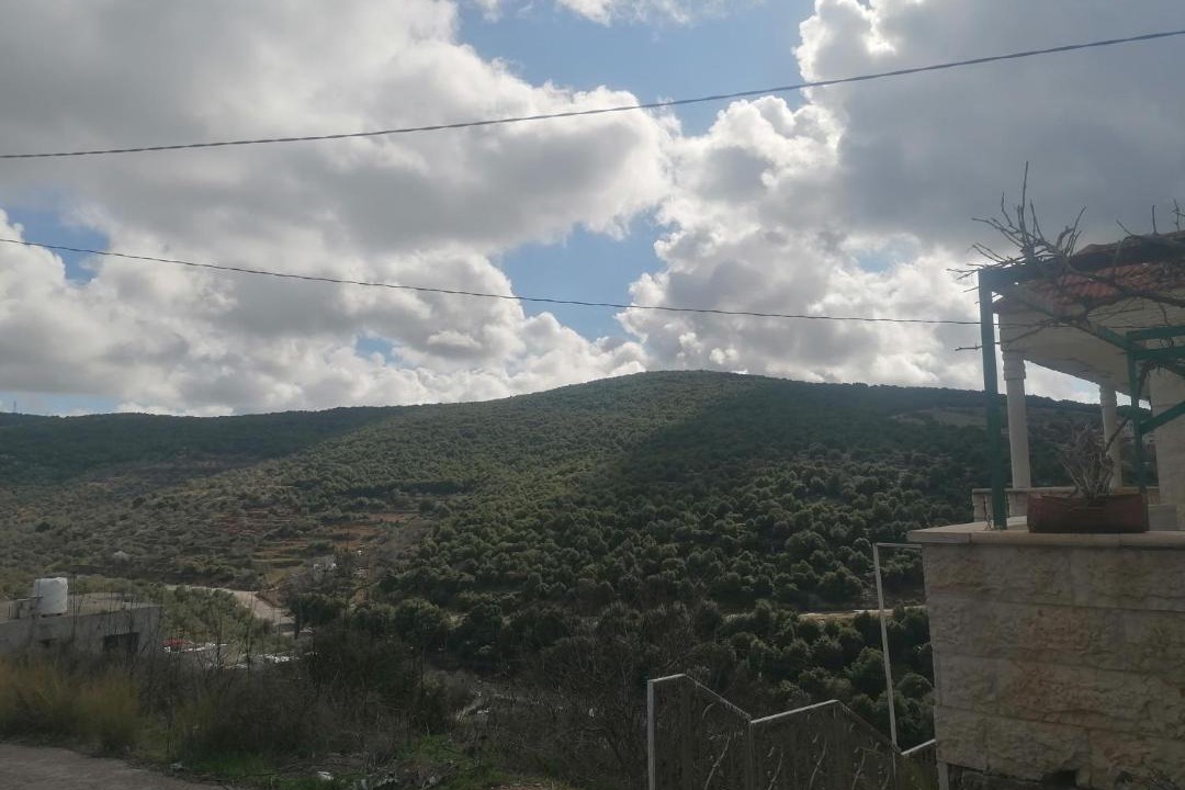 Photo of Others in Ajloun