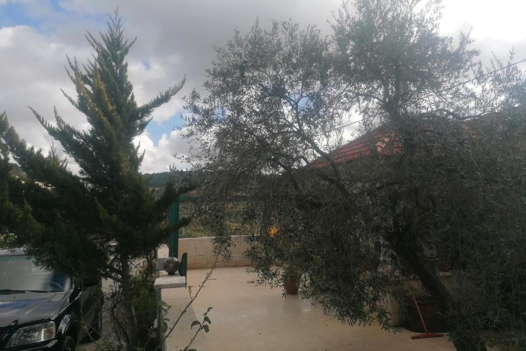 Photo of Outdoor in Ajloun
