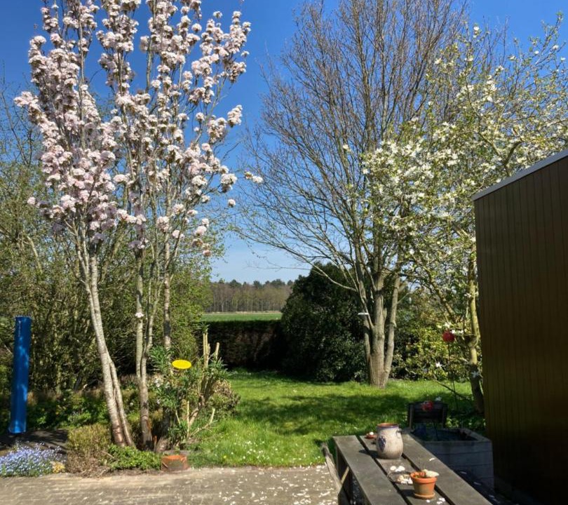 Photo of Others in Zedelgem