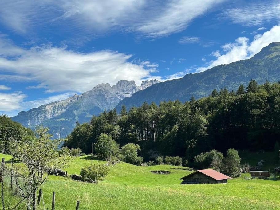 Photo of Others in Meiringen