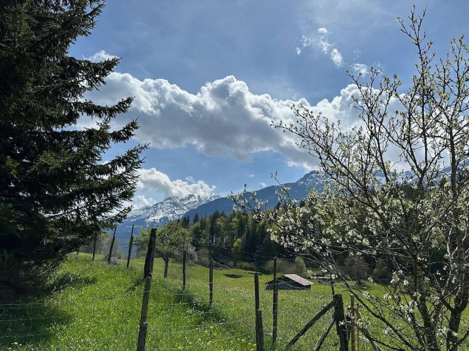 Photo of Others in Meiringen