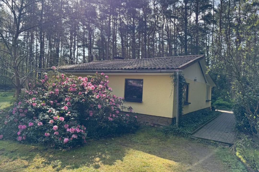 Photo of Others in Borkwalde