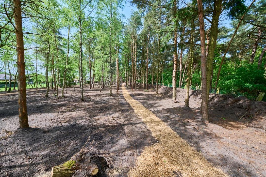 Photo of Others in Lommel