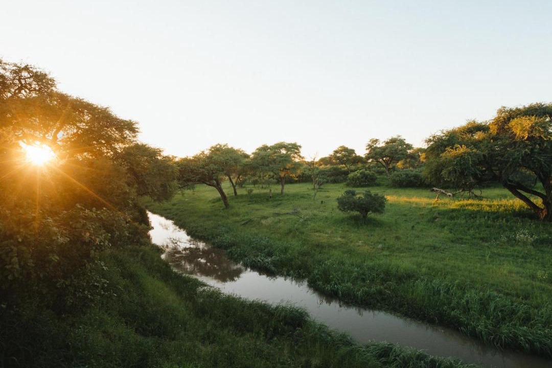 Photo of Others in Maun