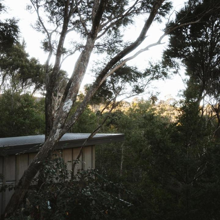 Photo of Others in Opua