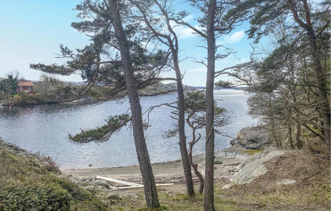 Photo of Others in Grundsund