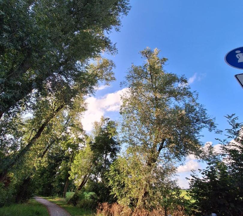 Photo of Others in Nordenham