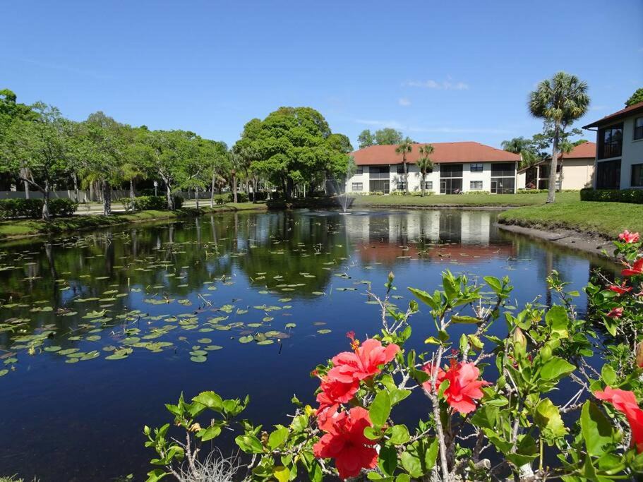 Photo of Others in South Bradenton