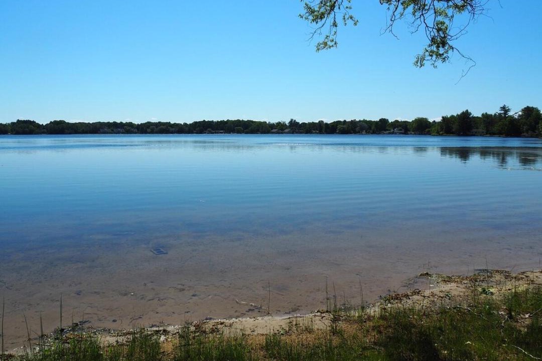 Photo of Others in Elk Rapids