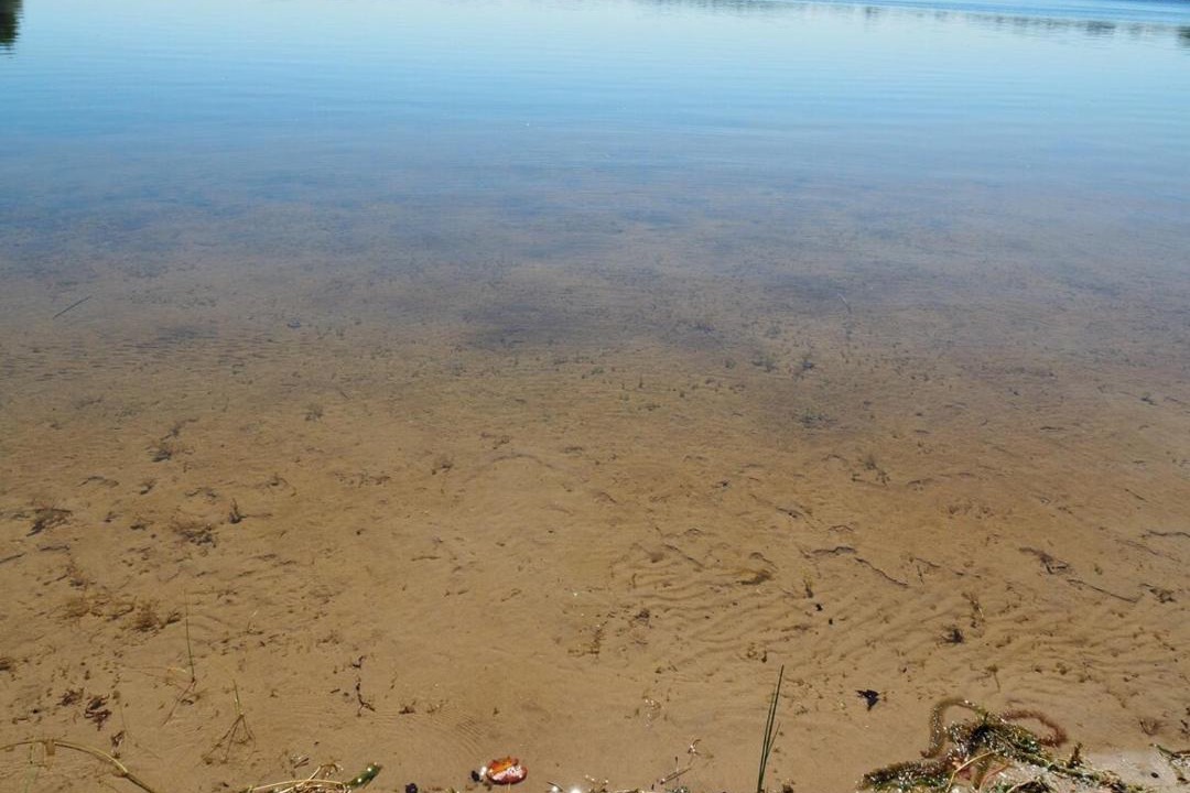 Photo of Others in Elk Rapids