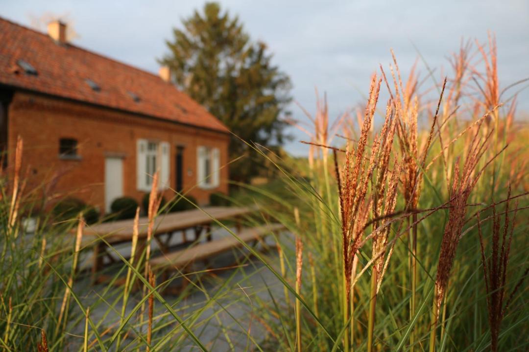 Photo of Others in Beringen