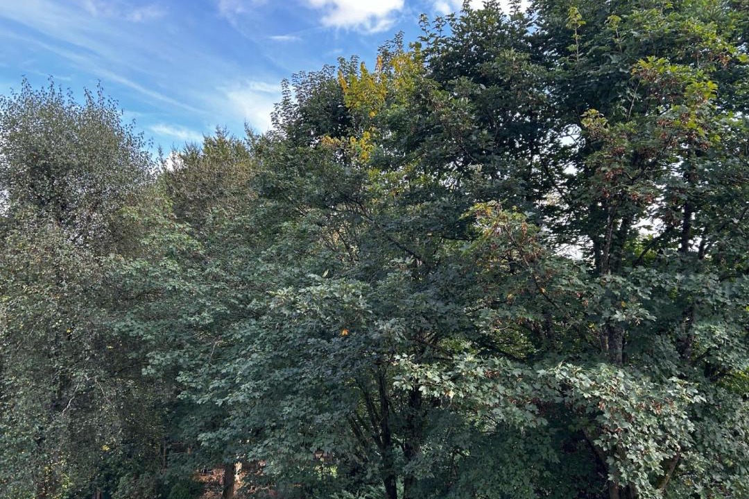 Photo of Outdoor in Neufchateau