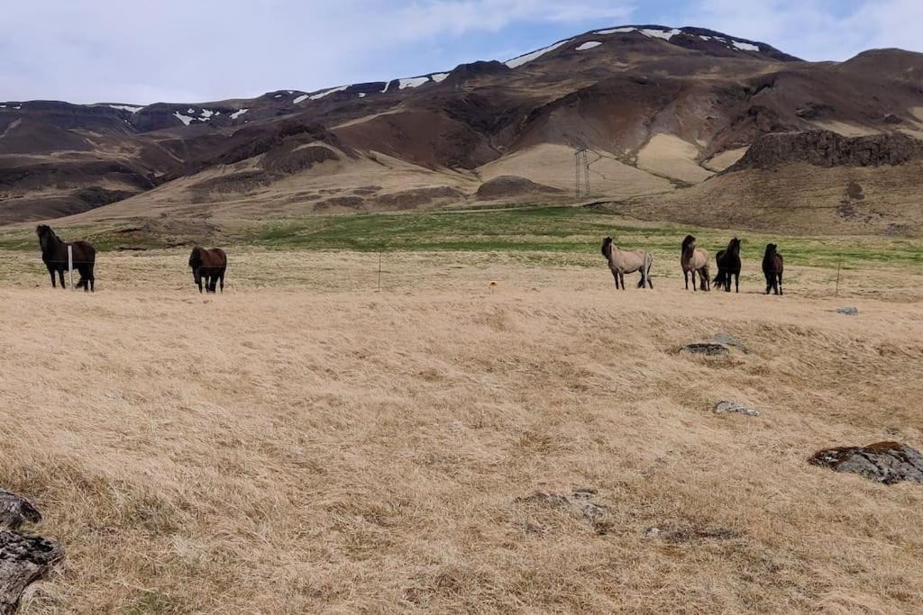 Photo of Others in Hvalfjarðarsveit