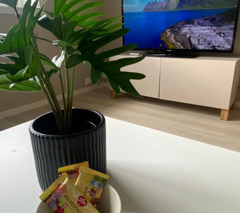 Photo of Livingroom in Tromso