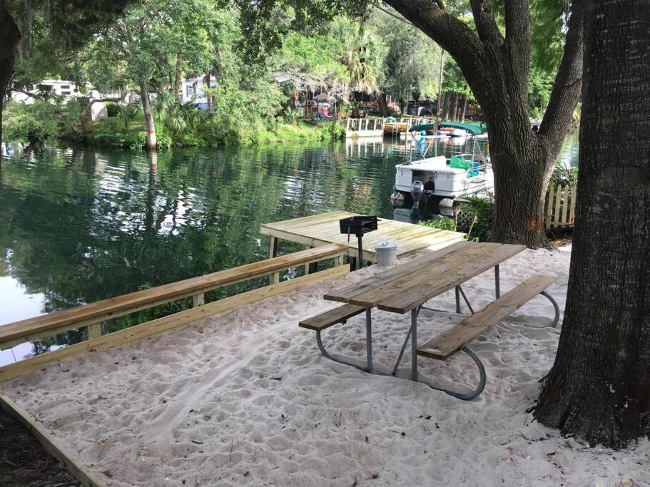 Photo of Others in Weeki Wachee Gardens