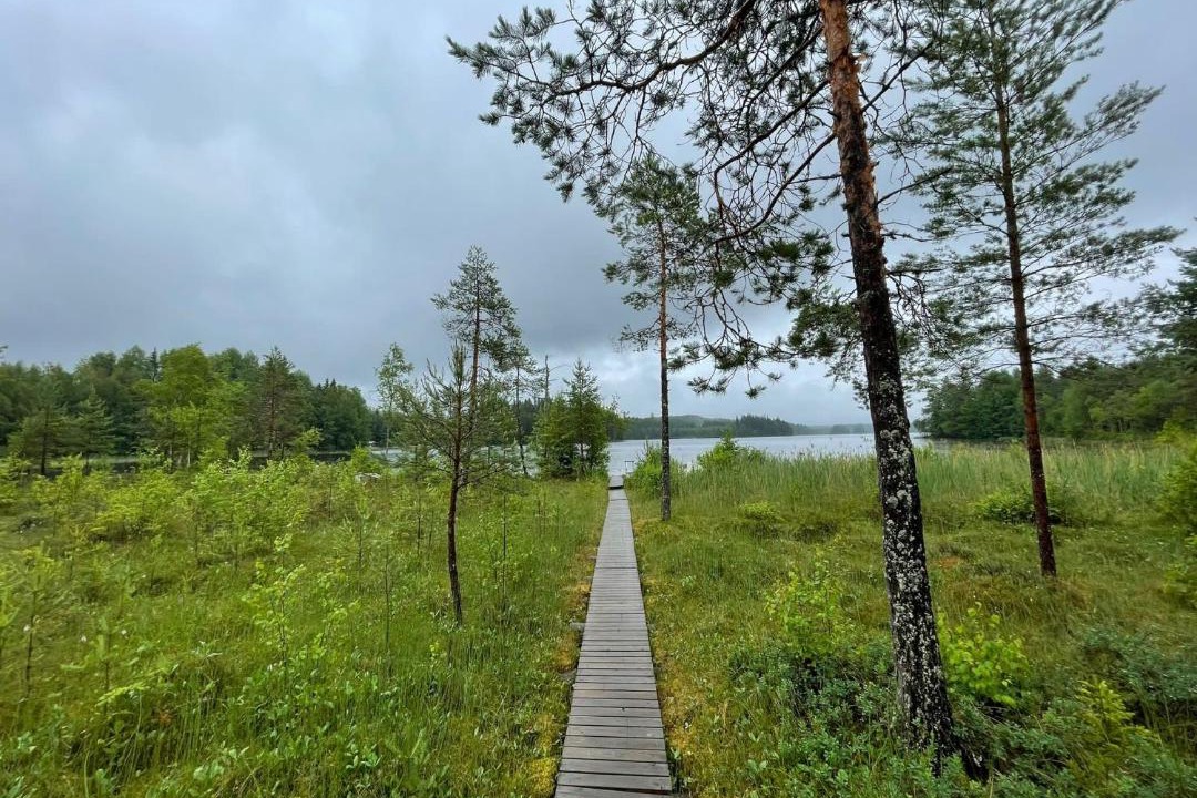 Photo of Others in Etelainen
